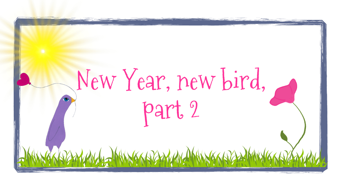 New Year, new bird, part 2 - randomcreativemoments